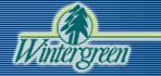 WinterGreen logo